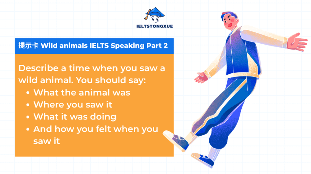 Wild animals IELTS Speaking Part 2: Describe a time when you saw a wild animal