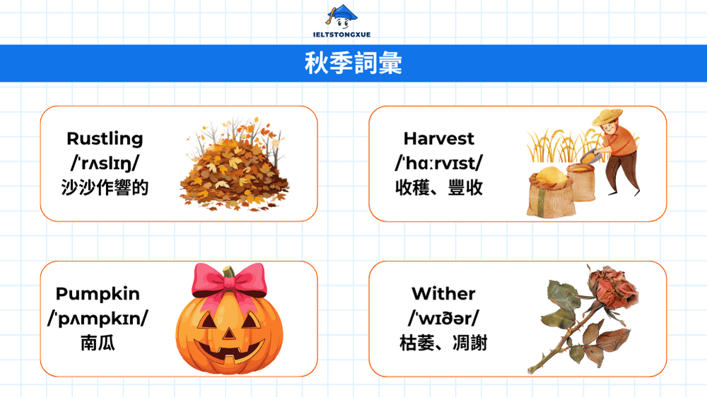 秋季詞彙英文