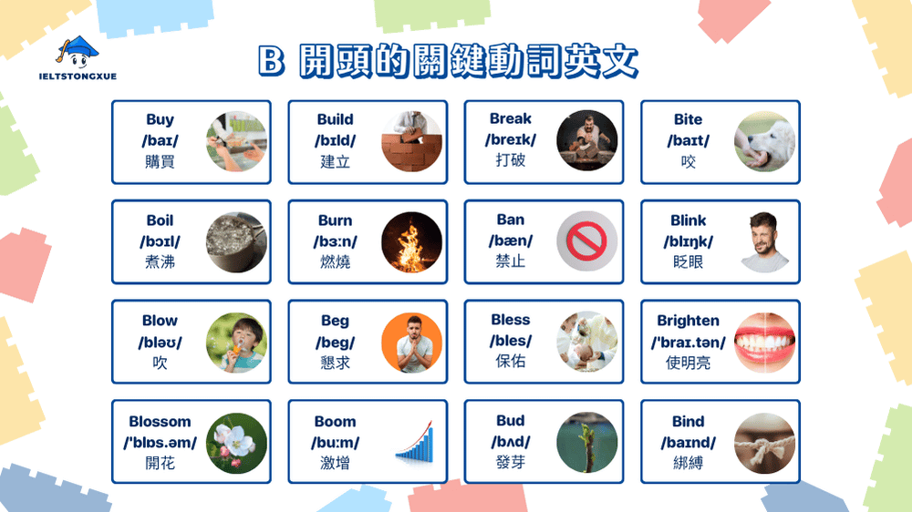 B 開頭英文動詞精選