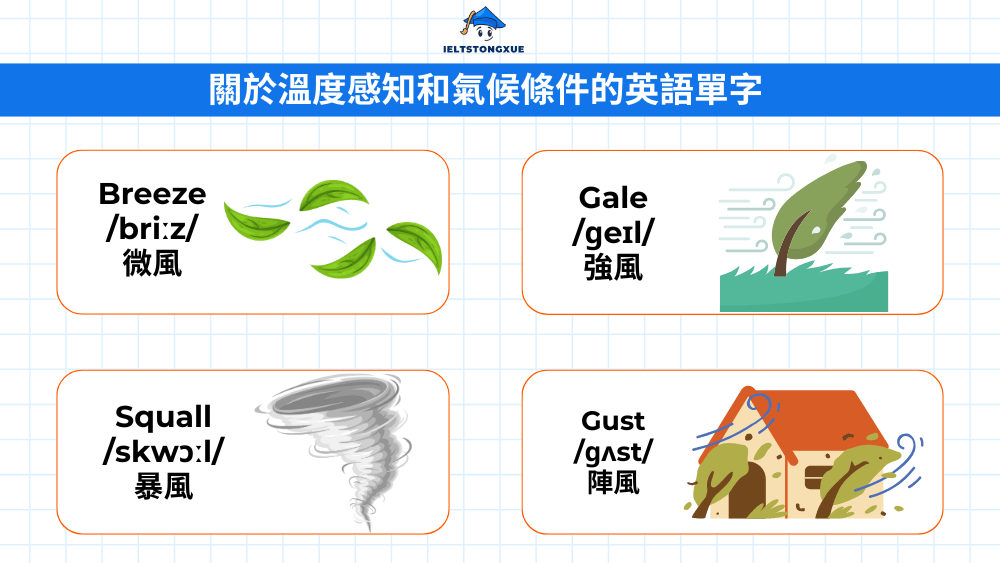 掌握風的表達