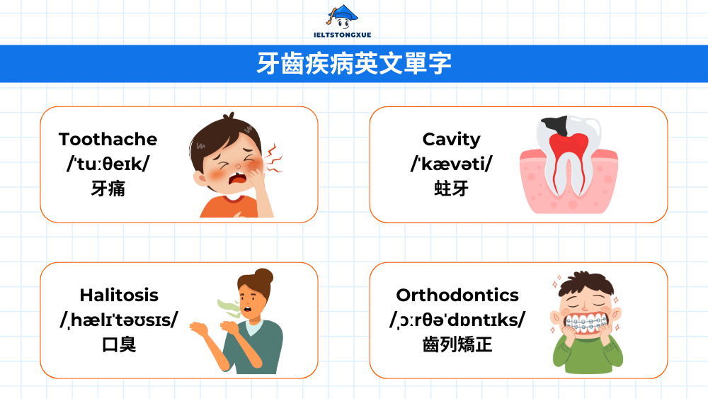 牙齒疾病英文單字