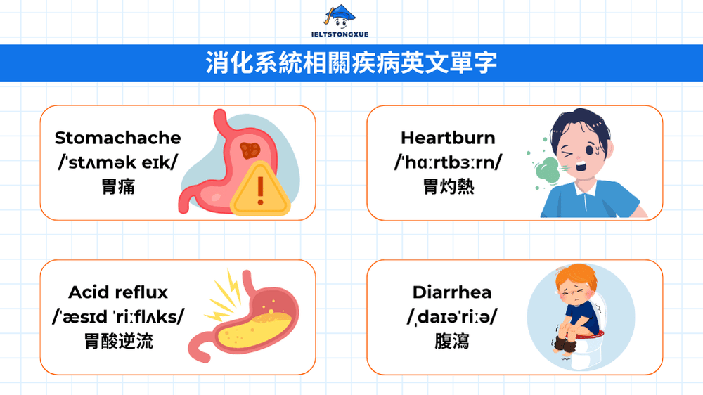 消化系統相關疾病英文單字