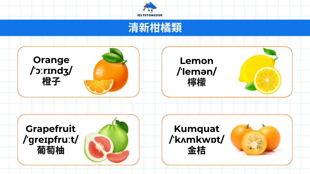 柑橘類水果詞彙大全