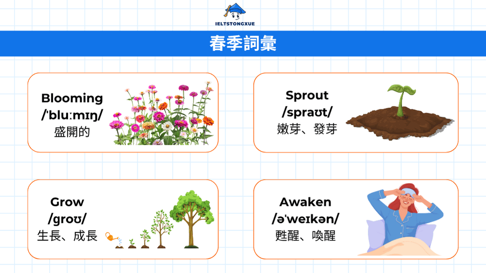 春季詞彙英文