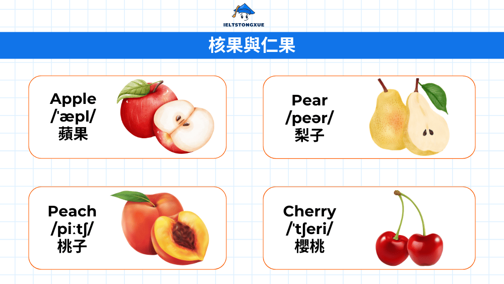 核果與仁果詞彙大全