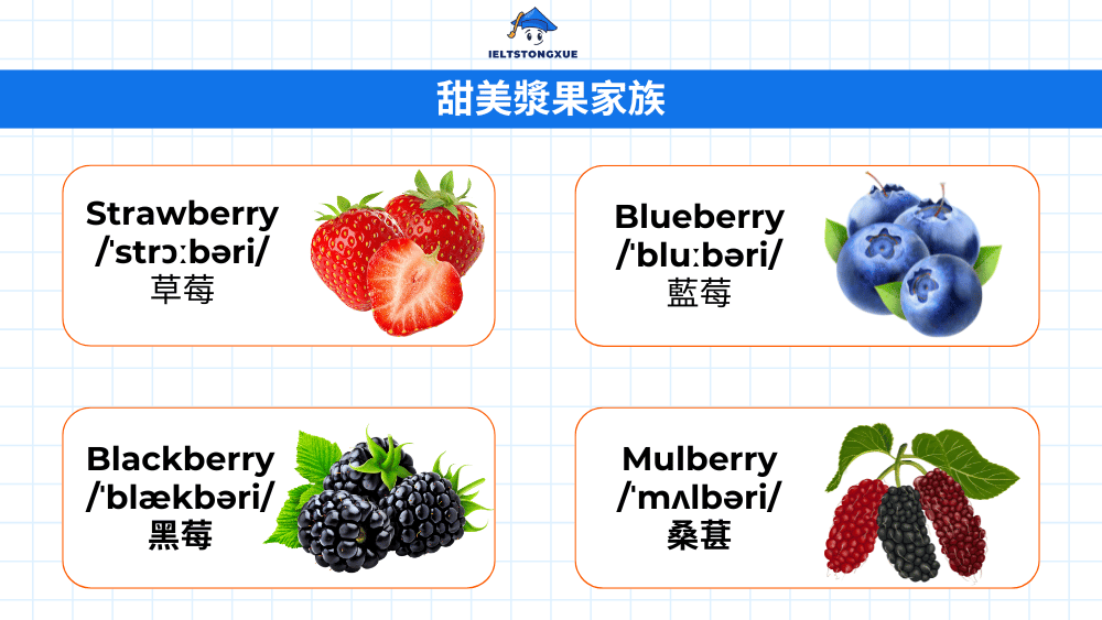 漿果詞彙大全