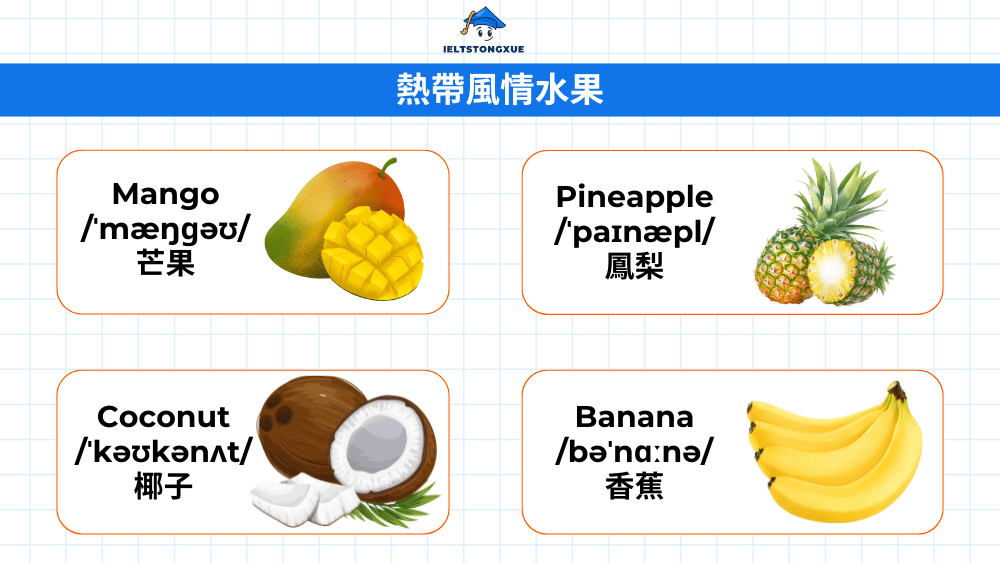 熱帶水果詞彙大全