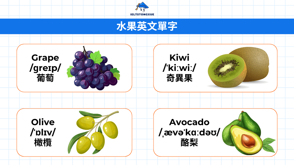 其他特色水果詞彙大全