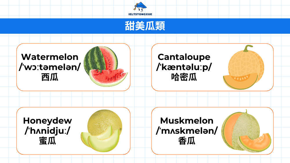 瓜類水果詞彙大全