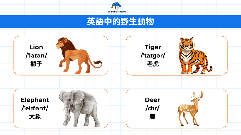 野生動物英文全覽