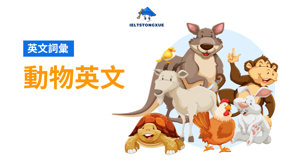 動物英文大全：最完整的分類與描述指南