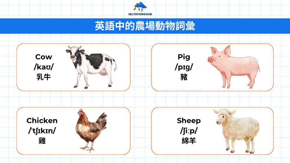 探索農場動物英文詞彙